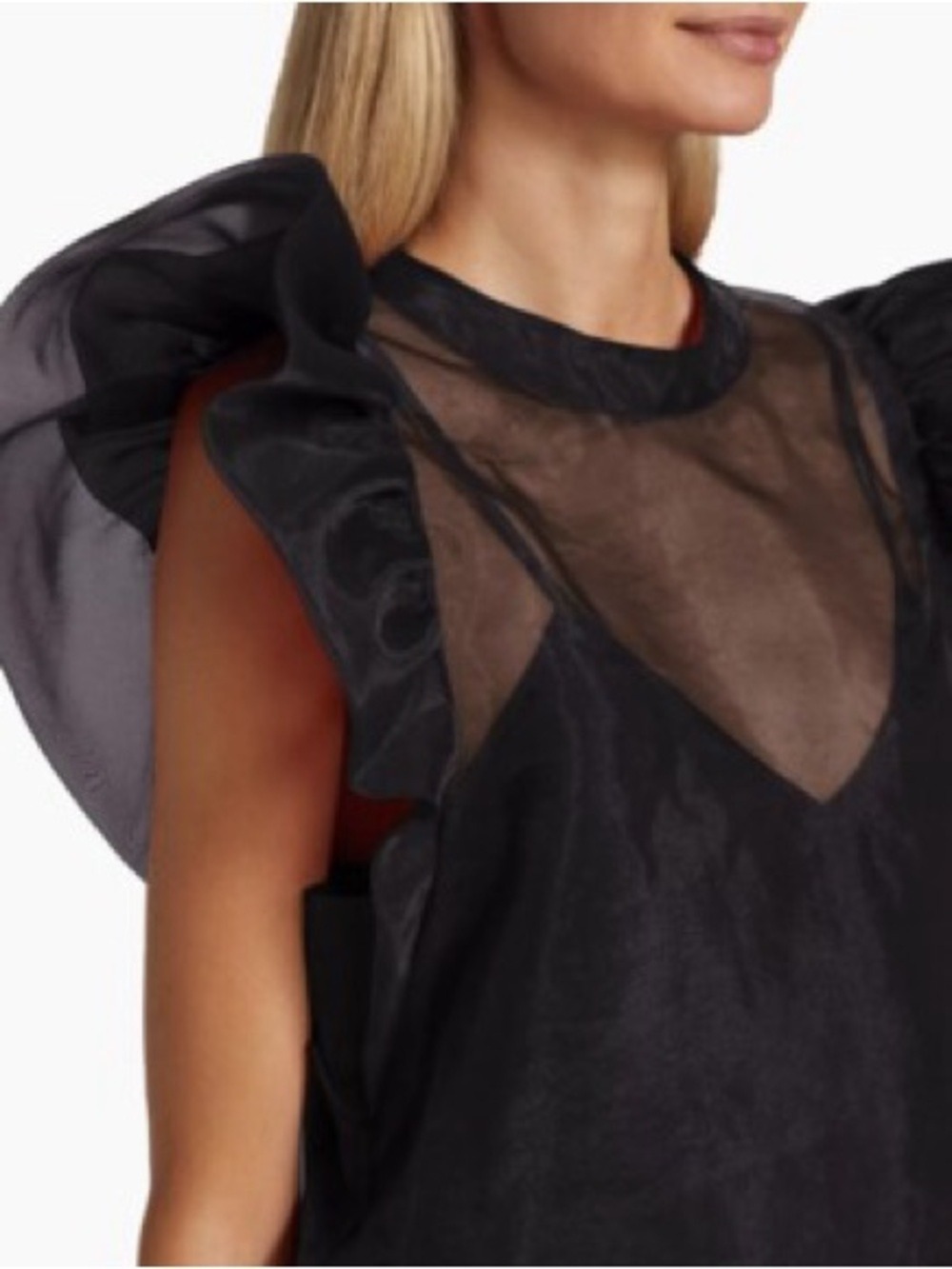 Blu Pepper Sheer Ruffled Sleeve Black Organza Top